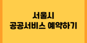 서울시 공공서비스 썸네일입니다.